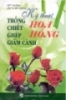 Kỹ thuật trồng chiết ghép giâm cành Hoa hồng