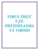 VIRUS THỰC VẬT, PHYTOPLASMA VÀ VIROID - TS. Hà Viết Cường
