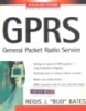 GPRS(General Packet Radio Service)