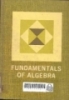 Fundamentals of algebra