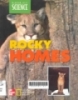 Rocky homes