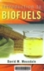 Introduction to Biofuels