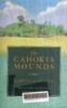 The Cahokia Mounds