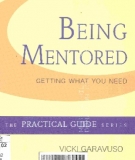 Being mentored: Getting what you need