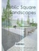 Public Square Landscapes