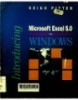 Introducing Microsoft Execl 5.0 for Windows