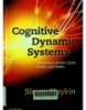 Cognitive Dynamic Systems