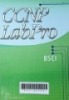 CCNP LabPro