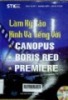 Kỹ xảo hình và tiếng với Canopus, Boris Red, Premiere: Kỹ xảo truyền hình dựng phim với sự trợ giúp của máy tính
