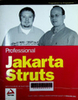 Professional Jakarta Struts
