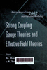 Strong coupling gauge theories and effective field theories: Proceedings of the 2002 international workshop