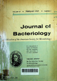 Journal of bacteriology