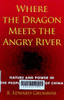 Where the dragon meets the angry river : Nature and power in the people's republic of China