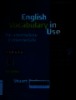 English vocabulary in use:Pre - intermediate & intermediate: 100 units of vocabulary reference and practice, self - study and classroom use