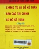 Chế độ kế toán Việt Nam: Chứng từ và sổ kế toán. Báo cáo tài chính. Sơ đồ kế toán (Ban hành theo quyết định số 15/2006/QĐ-BTC, Thông tư số 20/TT-BTC, Thông tư số 21/TT-BTC ngày 20/3/2006 của Bộ trưởng Bộ Tài chính). Thông tư số 161/2007/TT-BTC ban hành ngày 31/12/2007 của Bộ tài chính về hướng dẫn 16 chuẩn mực kế toán mới