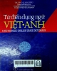 Từ điển dụng ngữ Việt - Anh = A Vietnamese - English usage dictionary
