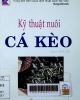 Kỹ thuật nuôi cá Kèo