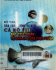 Kỹ thuật sản xuất giống nuôi cá rô phi đạt tiêu chuẩn vệ sinh an toàn thực phẩm
