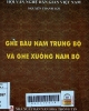 Ghe bầu Nam Trung bộ và ghe xuồng Nam bộ