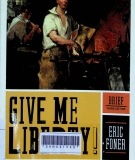 Give me liberty! : an American history - Volume 1: to 1877