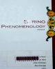 String phenomenology 2003: Proceedings of the 2nd International Conference Durham, UK 4 july - 4 august 2003