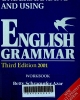 Understaning and using english grammar: Workbook