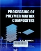 Processing of polymer matrix composites