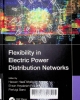 Flexibility in electric power distribution networks