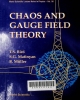 Chaos and gauge field theory