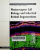Photoreceptor cell biology and inherited retinal degenerations