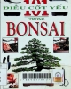 101 điều cốt yếu trong nghệ thuật Bonsai