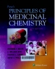 Foye's principles of medicinal chemistry