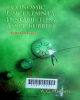 Economic uncertainty, instabilities and asset bubbles: selected essays