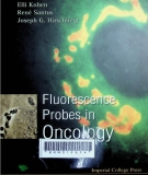 Flourescence Probes in oncology