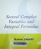 Several complex variables and integral formulas