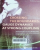 Crossing the boundaries : Gauge dynamics at strong coupling