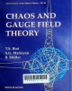 Chaos and gauge field theory