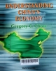 Understanding China's economy