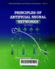 Principles of artificial neural networks