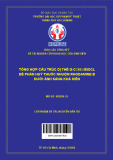 Tổng hợp cấu trúc dị thể g-C₃N₄/BiOCl để phân huỷ thuốc nhuộm Rhodamine B dưới ánh sáng khả kiến