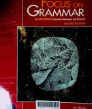 Focus on grammar: an advanced course for reference and practice
